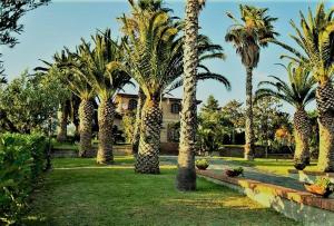 a row of palm trees in front of a house at Villa Amalia Srls in Gizzeria