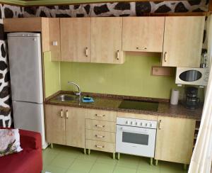 Kuchnia lub aneks kuchenny w obiekcie Apartamentos Los Delfines