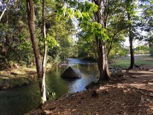 Un río con una roca en medio de árboles en Casa para vacacionar Family, en Chachagua