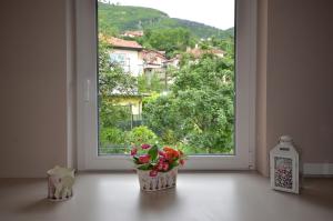 Cette chambre dispose d'une fenêtre et d'un vase avec des fleurs. dans l'établissement Villa Aba apartments, à Sarajevo