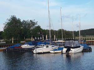 a group of boats docked at a dock in the water at Ferienwohnung Werner in Ostseebad Koserow