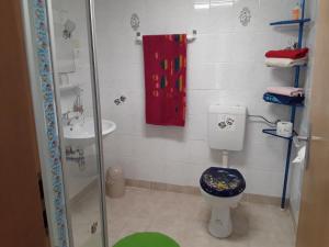 a bathroom with a shower and a toilet and a sink at Ferienwohnung Werner in Ostseebad Koserow