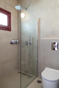 a bathroom with a glass shower with a toilet at Alkistis Beach Hotel - Adults Only in Agios Stefanos