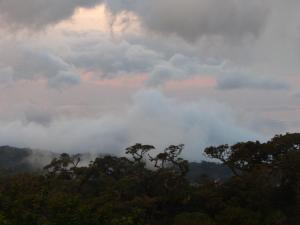 Casitas Jeruti في مونتيفيردي كوستاريكا: مجموعة من الأشجار في السماء مع الغيوم
