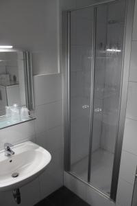 
a bathroom with a shower, sink, and mirror at Dötlinger Hof in Dötlingen
