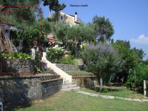 A garden outside Studio Nausica... a sense of paradise!