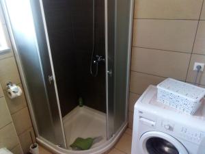 y baño con ducha y lavadora. en House Matijević Šimić, en Grabovac