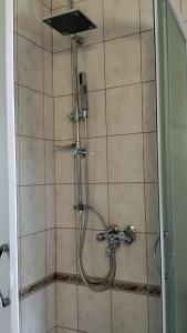 a shower with a shower head in a bathroom at Villa Sandra Hvar in Hvar +85 photos