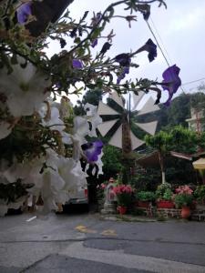 A garden outside Dionysus House Lasithi Plateau
