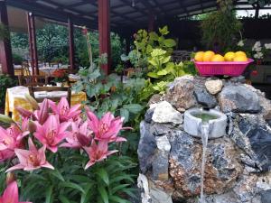 a garden with pink flowers and a bowl of fruit on a rock at Dionyssos in Magoulás