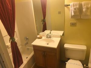 a bathroom with a sink and a toilet and a shower at Caboose Motel & Gift Shop in Durango