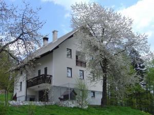 Afbeelding uit fotogalerij van Apartments Pri Marjetki in Cerkno