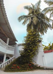 a palm tree in front of a building with flowers at Hotel Boquilla Suites By GEH Suites in Cartagena de Indias +18 photos