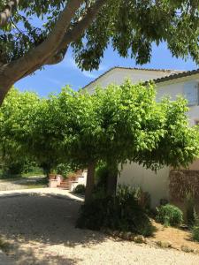 Logis Hôtel La Bastide des Monges外面的花园