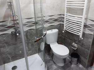 A bathroom at Kazbegi Guide