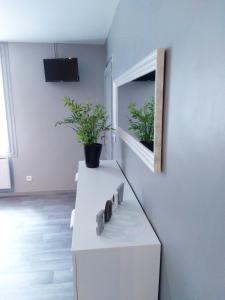 a room with a white cabinet with two plants on it at Les Studios proche du Mont Ventoux in Mazan