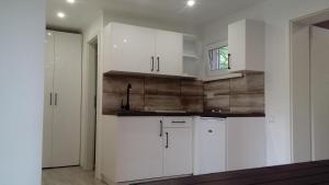 Kuchyňa alebo kuchynka v ubytovaní Picurka Apartman