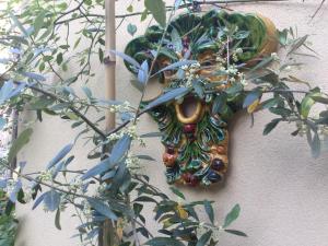 a mask hanging on a wall next to a plant at Domus Rosarum in Arquà Petrarca