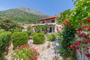 Hrvatska, TRSTENO-DUBROVNIK, Sunny House Free Parking