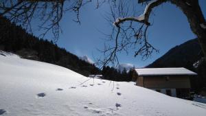 Neuberg Alm v zime