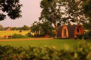 a small cabin in a field with a horse in the background at Trekkershut in Jubbega-Schurega