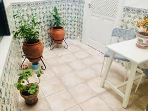 塞维利亚金橙花旅馆的一间在地板上种植盆栽的植物的房间和一张桌子