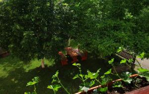 Afbeelding uit fotogalerij van Apartment Medeni in Rakovica