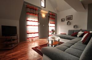 a living room with a couch and a tv at Apartment Medeni in Rakovica