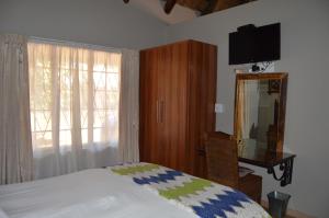 Un dormitorio con una cama, un espejo y un televisor. en Jarina Guesthouse, en Wolmaranstad