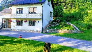a house with a dog standing in front of it at Sokol in Ogulin