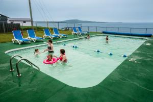 eine Gruppe von Menschen, die in einem Schwimmbad spielen in der Unterkunft Shallow Bay Motel & Cabins Conference Centre in Cow Head