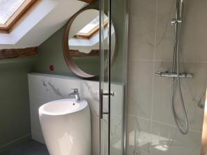 a bathroom with a shower and a toilet and a mirror at La Maison des Arts in Honfleur