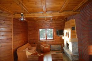 sala de estar con paredes de madera y chimenea en Dom wakacyjny z basenem, en Dębki