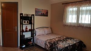 邁索隆吉的住宿－Cozy Loft，一间卧室设有一张床、书架和窗户