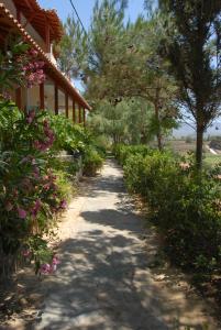 een pad naar een huis met bomen en bloemen bij Zorbas Apartments in Volissos