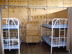 Dos literas en una habitación con paredes de madera. en O Albergue de Selmo, en Arzúa