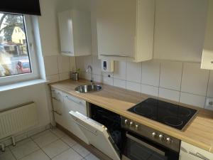 Kuchyň nebo kuchyňský kout v ubytování BS Living Apartment 4