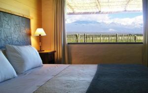 1 dormitorio con cama y ventana grande en Tupungato Divino en Tupungato