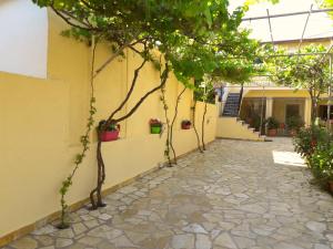 A garden outside Bungalows Niki
