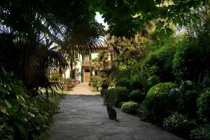 Vonkajšia záhrada v ubytovaní Villa Le Facezie B&B
