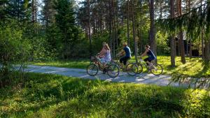 Gestir sem dvelja á Treehouseestonia