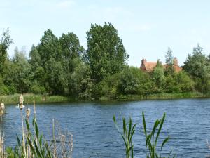 - une vue sur une rivière avec des arbres et des bâtiments dans l'établissement Lakeview at Lodge Farm, à Norwich