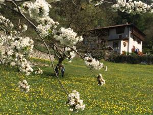 Vonkajšia záhrada v ubytovaní B&B Maso Zont Antico Maso