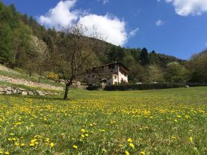 Príroda v okolí of the bed and breakfast