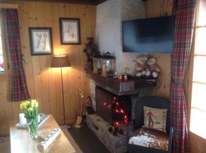 ein Wohnzimmer mit einem Kamin und einem TV in der Unterkunft Petit Ours in Villars-sur-Ollon