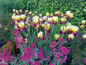 Fotografie z fotogalerie ubytování Hôtel-Logis La Coraline v destinaci Gannat