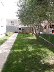a lawn with a tree and a sidewalk at Apartmani Ruža in Novalja