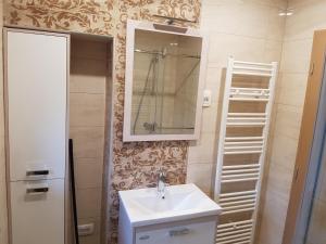 Ванная комната в Apartmaji Zupan