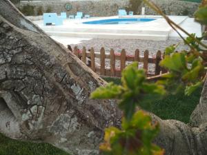 un tronco de árbol con una piscina al fondo en Pátio do Judeu, en Valverde