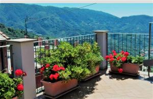 uma varanda com flores vermelhas e vista para as montanhas em Charme e Relax em Levanto